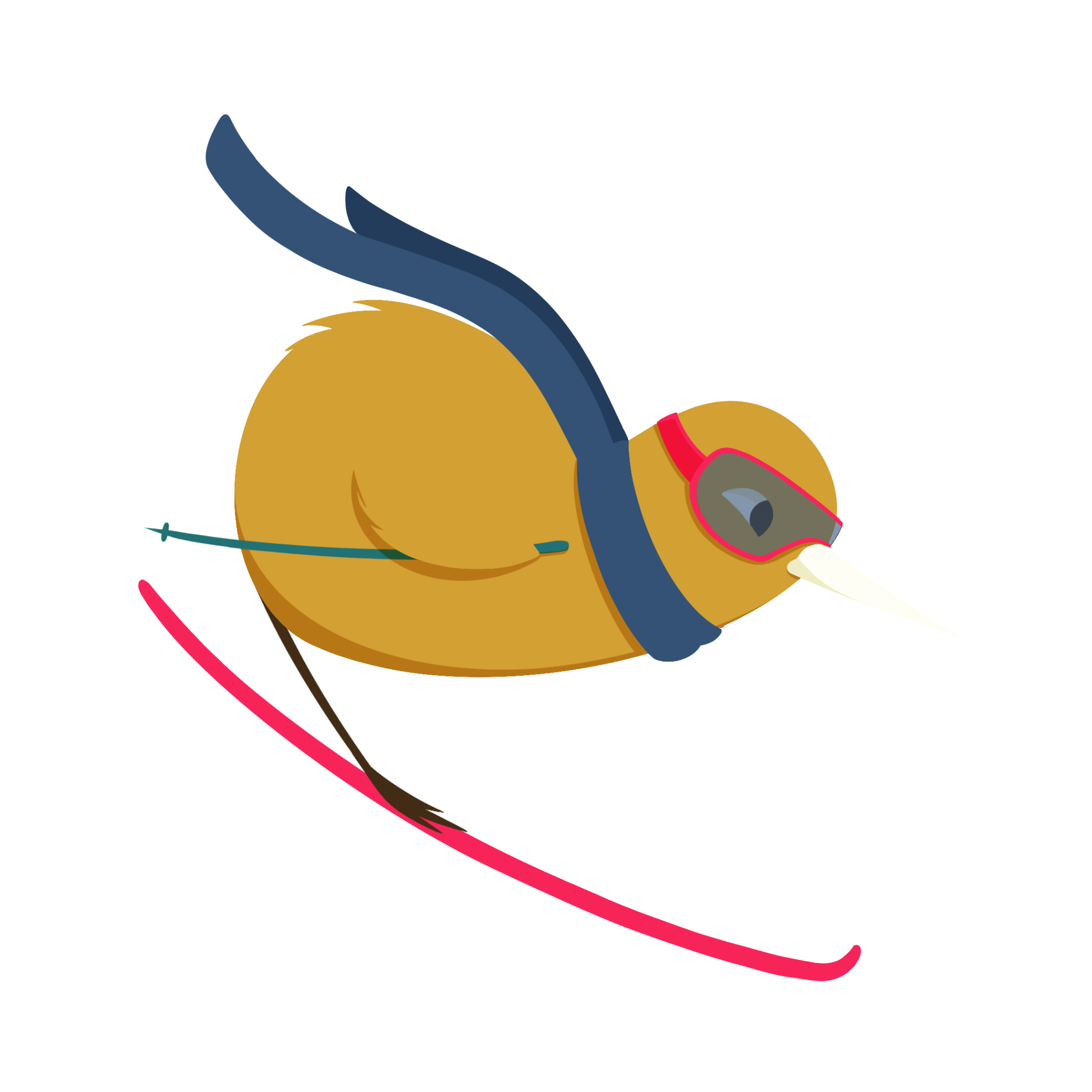 Skiwi